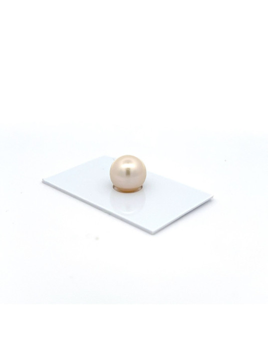 12mm+ jewel  grade South Sea pearl, Australia