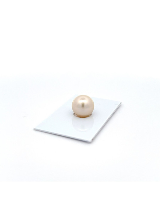 12.3mm South Sea pearl , origin Australia , jewel  grade
