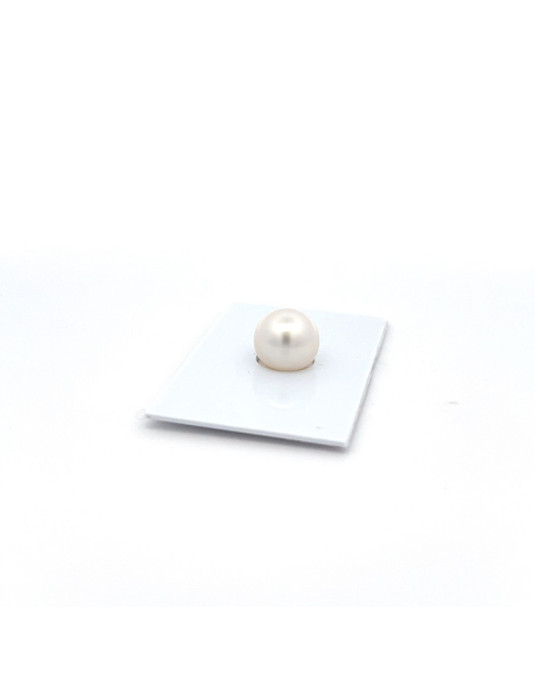 11.11mm South Sea pearl , origin Australia , fine  grade