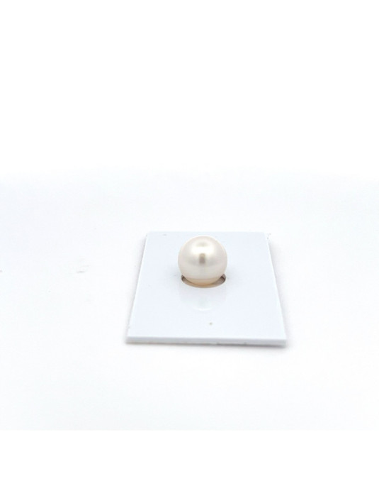 9mm+ fine  grade South Sea pearl, Australia