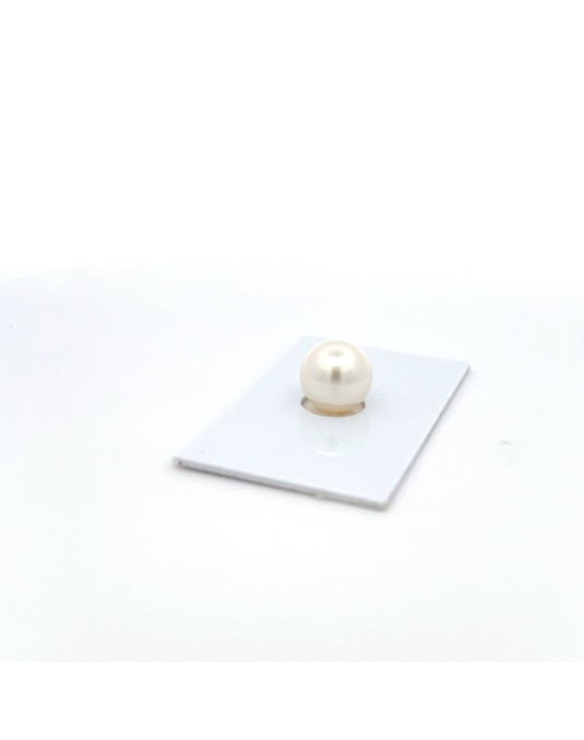 11.28mm South Sea pearl , origin Australia , fine  grade