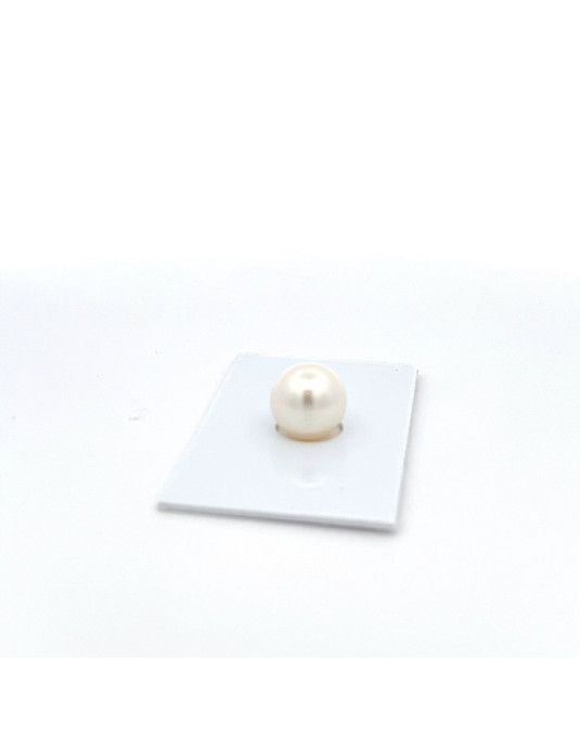 11.28mm South Sea pearl , origin Australia , fine  grade