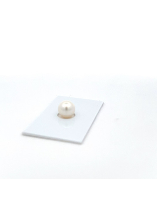 9mm+ gem  grade South Sea pearl, Australia