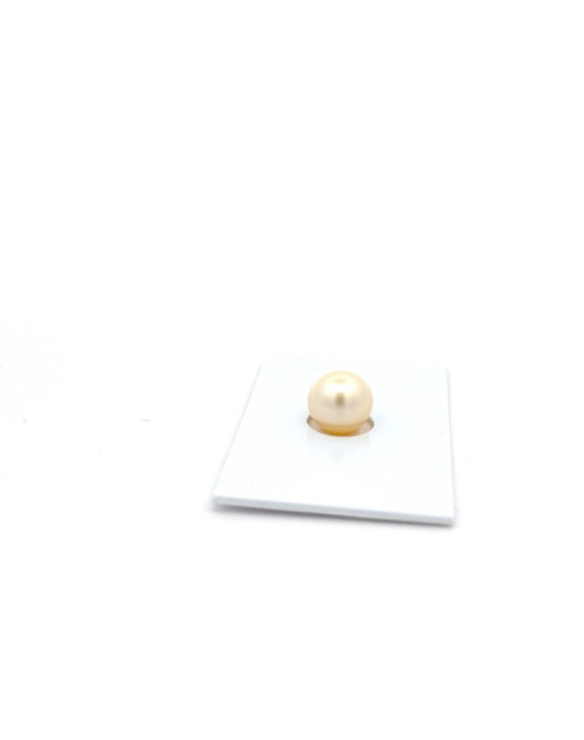 9.53mm South Sea pearl , origin Australia , fine  grade