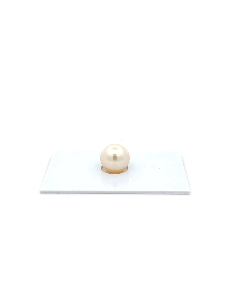 10.8mm South Sea pearl , origin Australia , jewel  grade