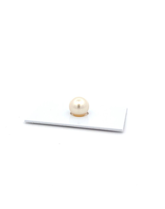 9mm+ jewel  grade South Sea pearl, Australia