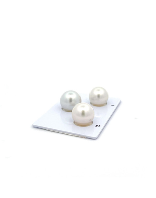 12.38/11.82/11.82mm South Sea pearl , origin Australia , fine  grade