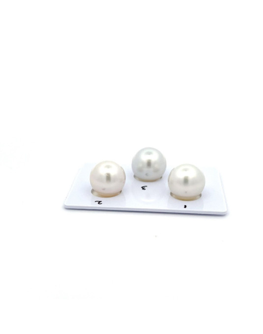 12.38/11.82/11.82mm South Sea pearl , origin Australia , fine  grade