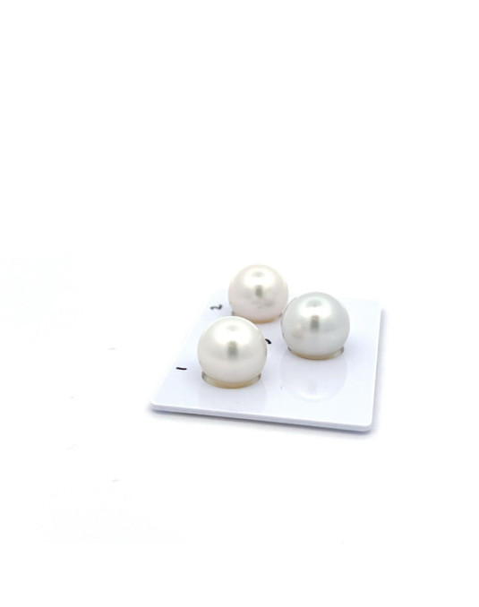 12.38/11.82/11.82mm South Sea pearl , origin Australia , fine  grade