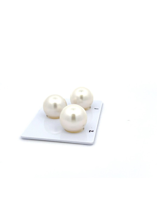 13.82/13.66/13.23mm South Sea pearl , origin Australia , fine  grade