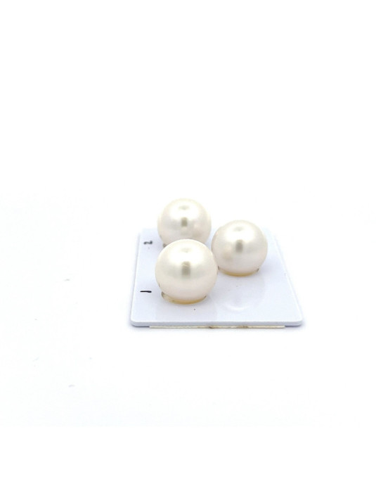 13.82/13.66/13.23mm South Sea pearl , origin Australia , fine  grade