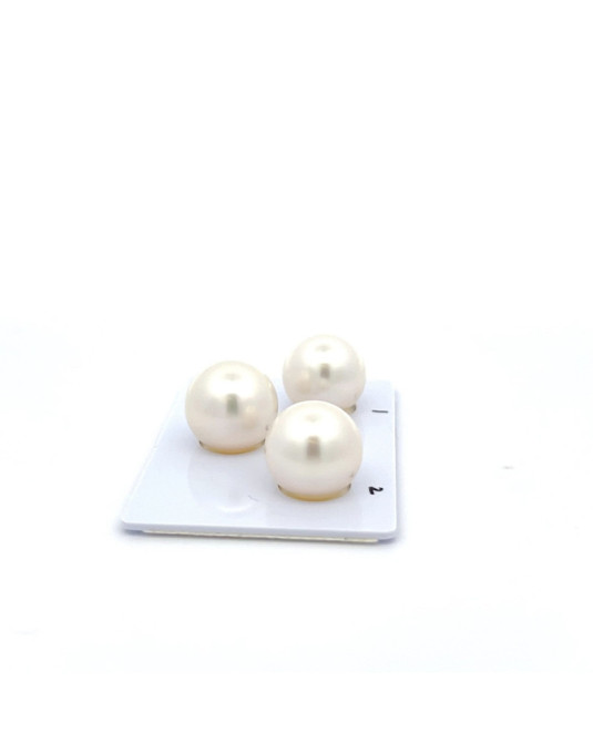 13.72/13.26/13.25mm South Sea pearl , origin Australia , fine  grade