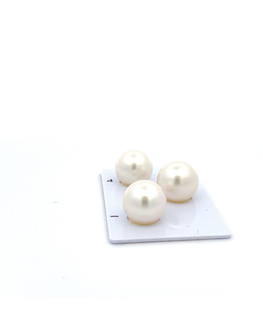 13.72/13.26/13.25mm South Sea pearl , origin Australia , fine  grade