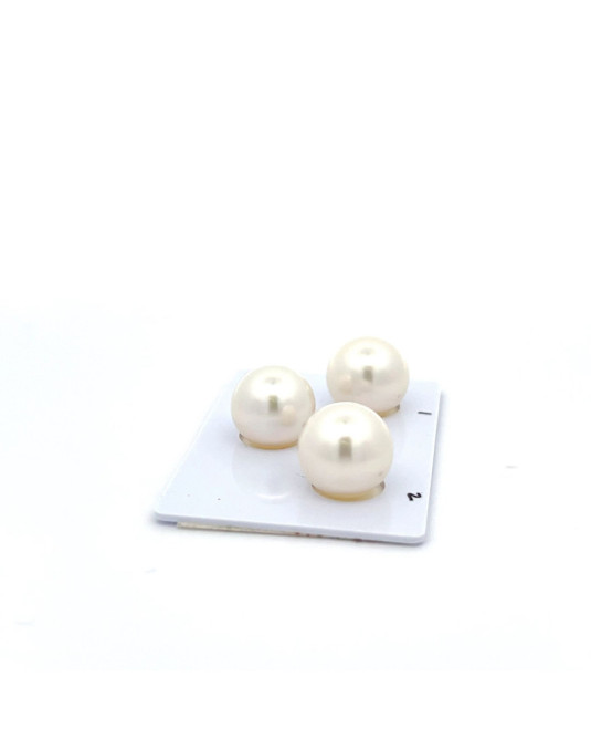 12.9/12.89/12.48mm South Sea pearl , origin Australia , jewel  grade