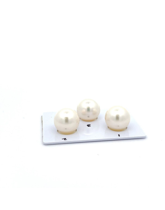 12.9/12.89/12.48mm South Sea pearl , origin Australia , jewel  grade