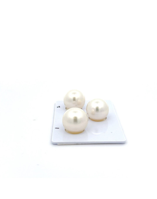 12.9/12.89/12.48mm South Sea pearl , origin Australia , jewel  grade