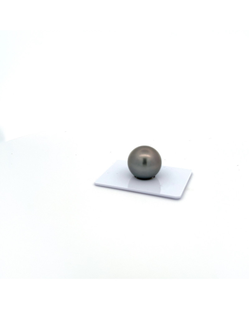15mm+ jewel  grade Tahitian Black pearl, French Polynesia  