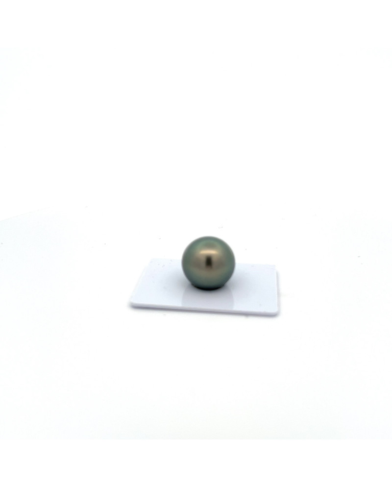 15mm+ gem  grade Tahitian Black pearl, French Polynesia  