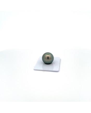 15mm+ gem  grade Tahitian Black pearl, French Polynesia  