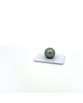15mm+ gem  grade Tahitian Black pearl, French Polynesia  