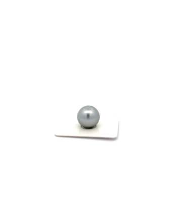 15mm+ fine  grade Tahitian Black pearl, French Polynesia  