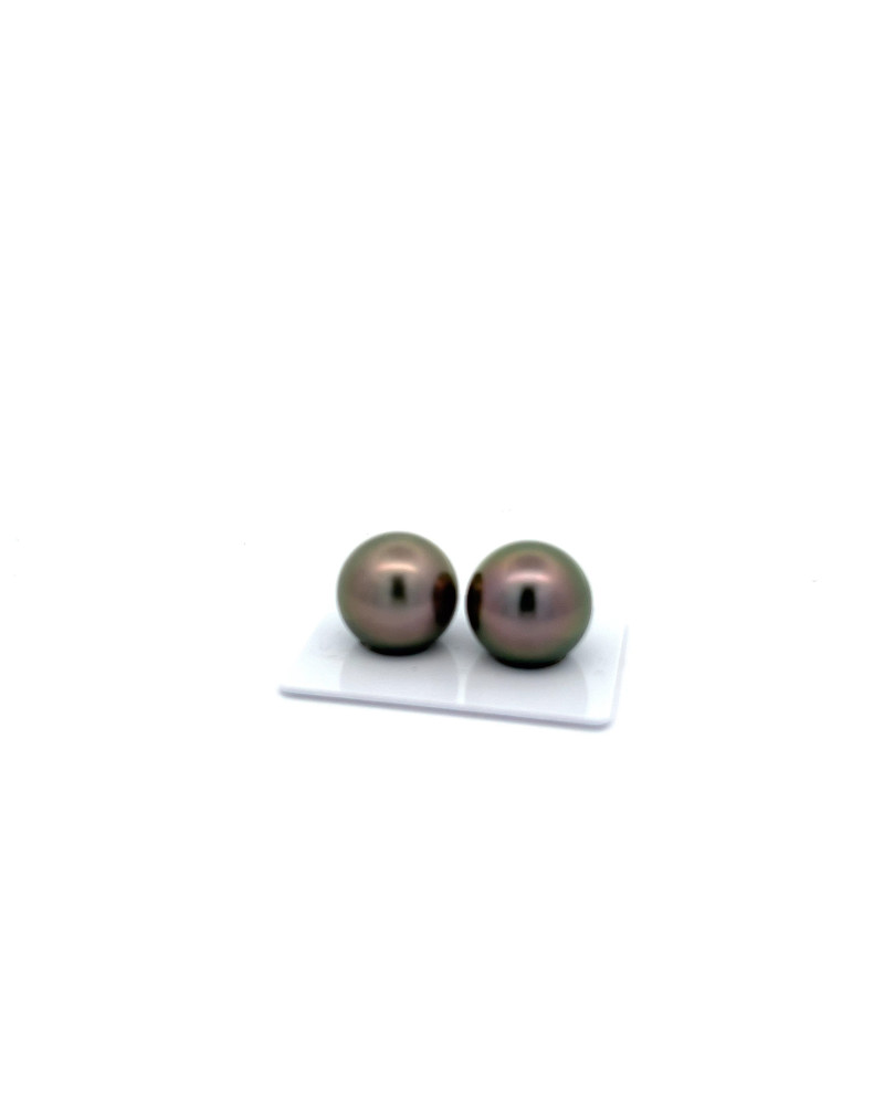 15mm+ gem  grade Tahitian Black pearl, French Polynesia  
