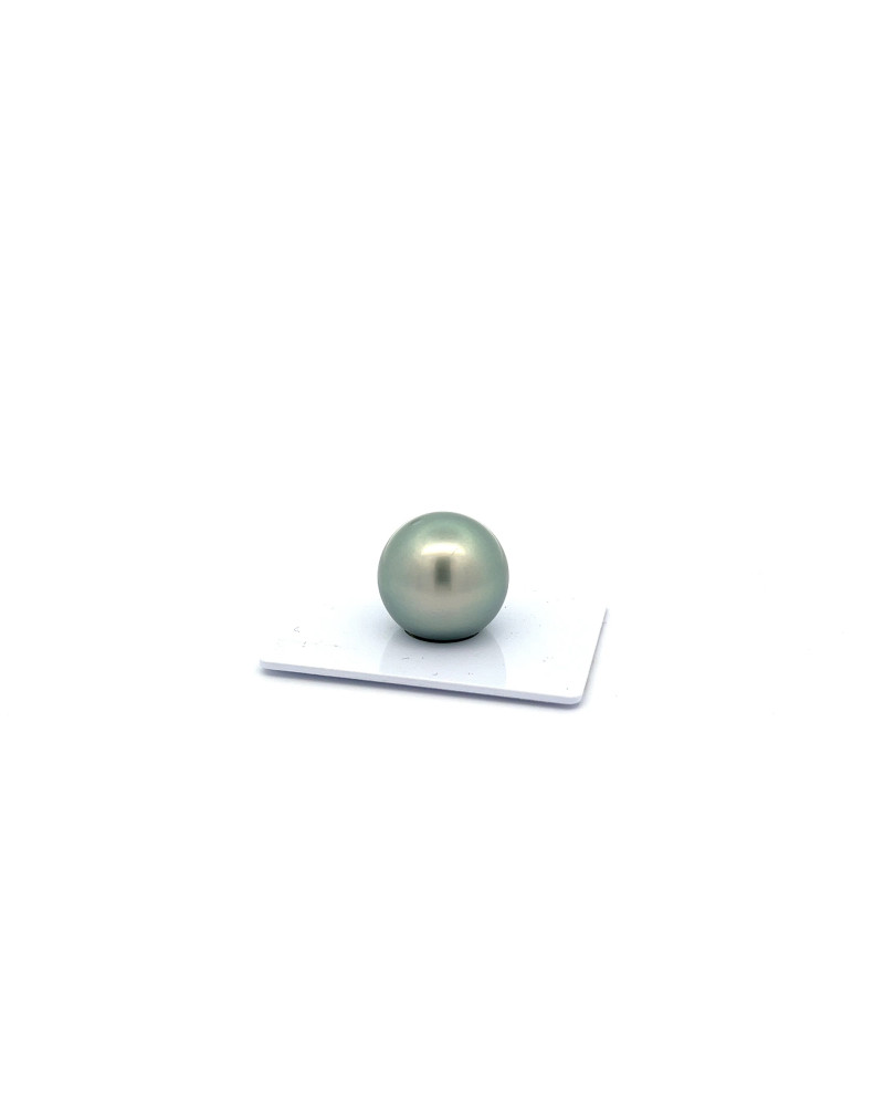 15mm+ gem  grade Tahitian Black pearl, French Polynesia  