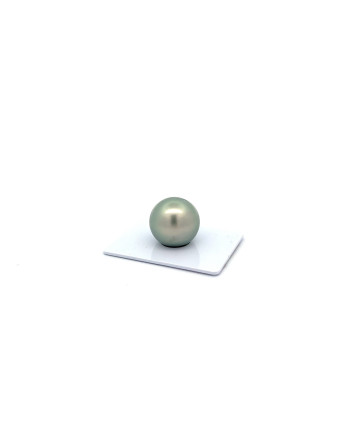15mm+ gem  grade Tahitian Black pearl, French Polynesia  