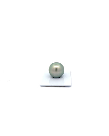 15mm+ gem  grade Tahitian Black pearl, French Polynesia  