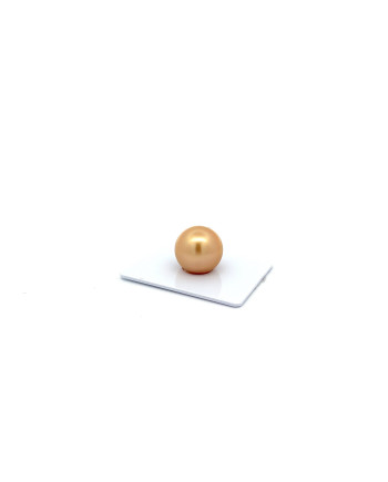15mm+ fine  grade South Sea pearl, Indonesia