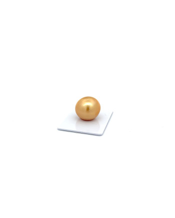 17mm+ fine  grade South Sea pearl, Indonesia