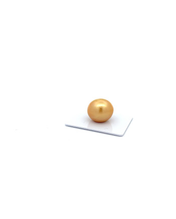 17mm+ fine  grade South Sea pearl, Indonesia