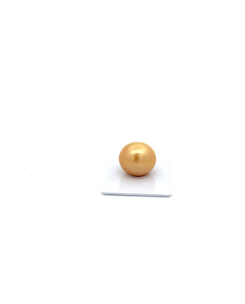 17mm+ fine  grade South Sea pearl, Indonesia
