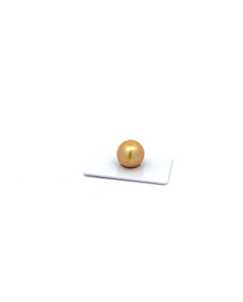 12mm+ gem  grade South Sea pearl, Indonesia
