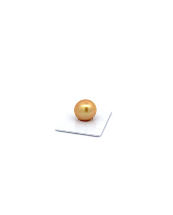 12mm+ fine  grade South Sea pearl, Indonesia