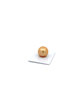 15mm+ gem  grade South Sea pearl, Indonesia