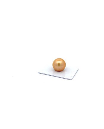 15mm+ gem  grade South Sea pearl, Indonesia