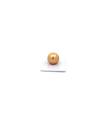 15mm+ gem  grade South Sea pearl, Indonesia