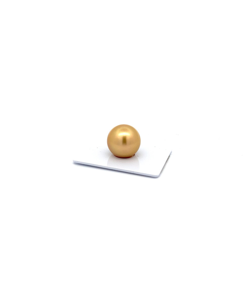15mm+ gem  grade South Sea pearl, Indonesia
