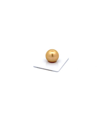 15mm+ gem  grade South Sea pearl, Indonesia
