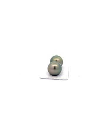 15mm+ gem  grade Tahitian Black pearl, French Polynesia  