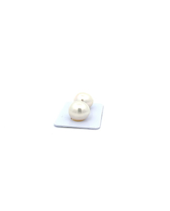 12mm+ gem  grade South Sea pearl, Australia