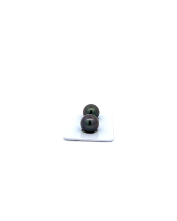 9mm+ jewel  grade Tahitian Black pearl, French Polynesia  