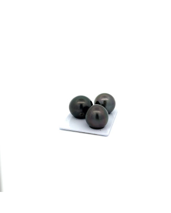 15mm+ jewel  grade Tahitian Black pearl, French Polynesia  