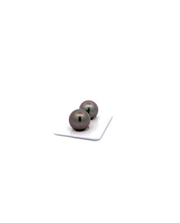12mm+ fine  grade Tahitian Black pearl, French Polynesia  
