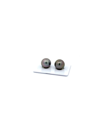 12mm+ jewel  grade Tahitian Black pearl, French Polynesia  