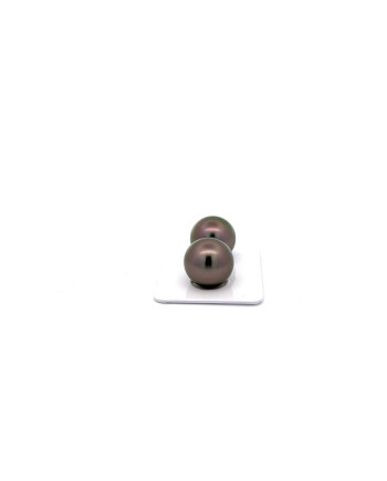 12mm+ fine  grade Tahitian Black pearl, French Polynesia  