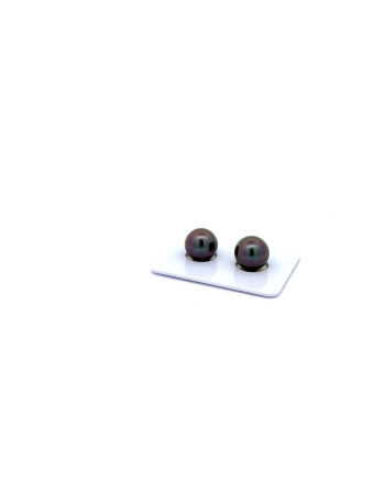 9mm+ jewel  grade Tahitian Black pearl, French Polynesia  