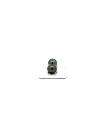 9mm+ jewel  grade Tahitian Black pearl, French Polynesia  