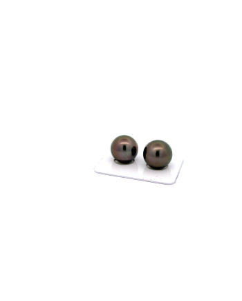12mm+ jewel  grade Tahitian Black pearl, French Polynesia  